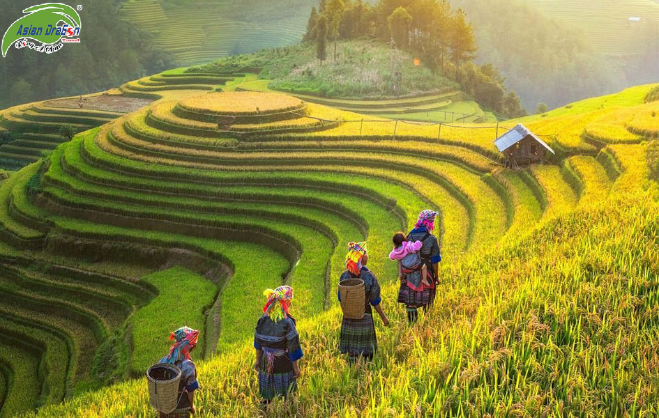 TOUR TÂY BẮC SƠN LA - ĐIỆN BIÊN - MỘC CHÂU 4 NGÀY 3 ĐÊM